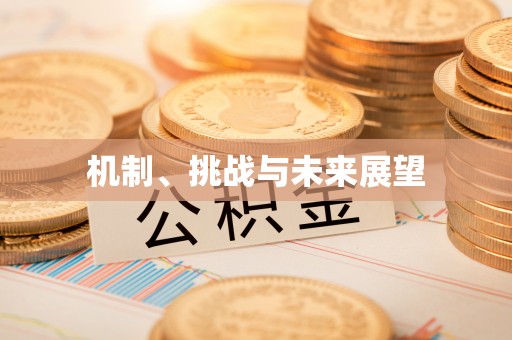 涵江机制、挑战与未来展望